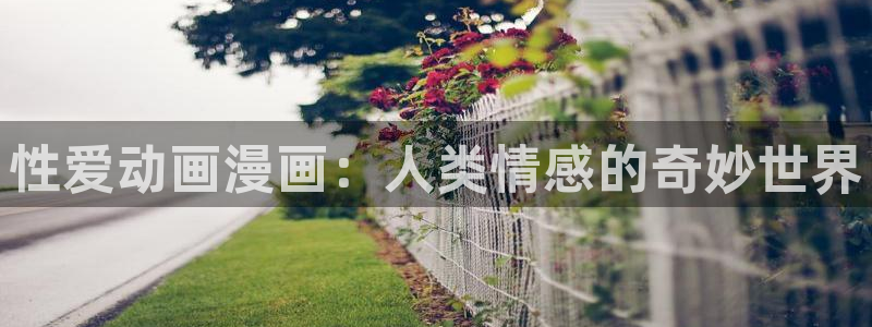 虫虫漫画在线acg：性爱动画漫画：人类情感的奇妙世界