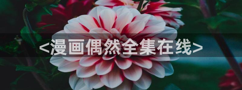 虫虫漫画的网站：<漫画偶然全集在线>