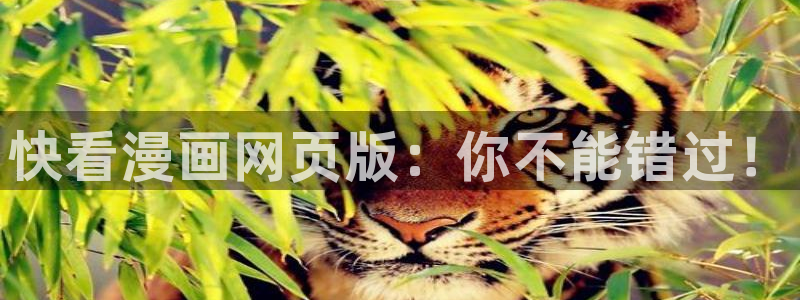 虫虫漫画无删减近在咫尺：快看漫画网页版：你不能错过！